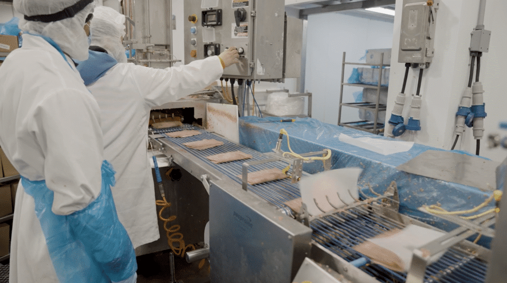 Workers in protective gear working on a meat processing line